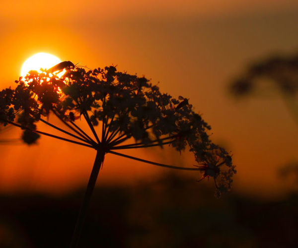 Nepalaese Host Candlelight Vigil for Quake Victims
